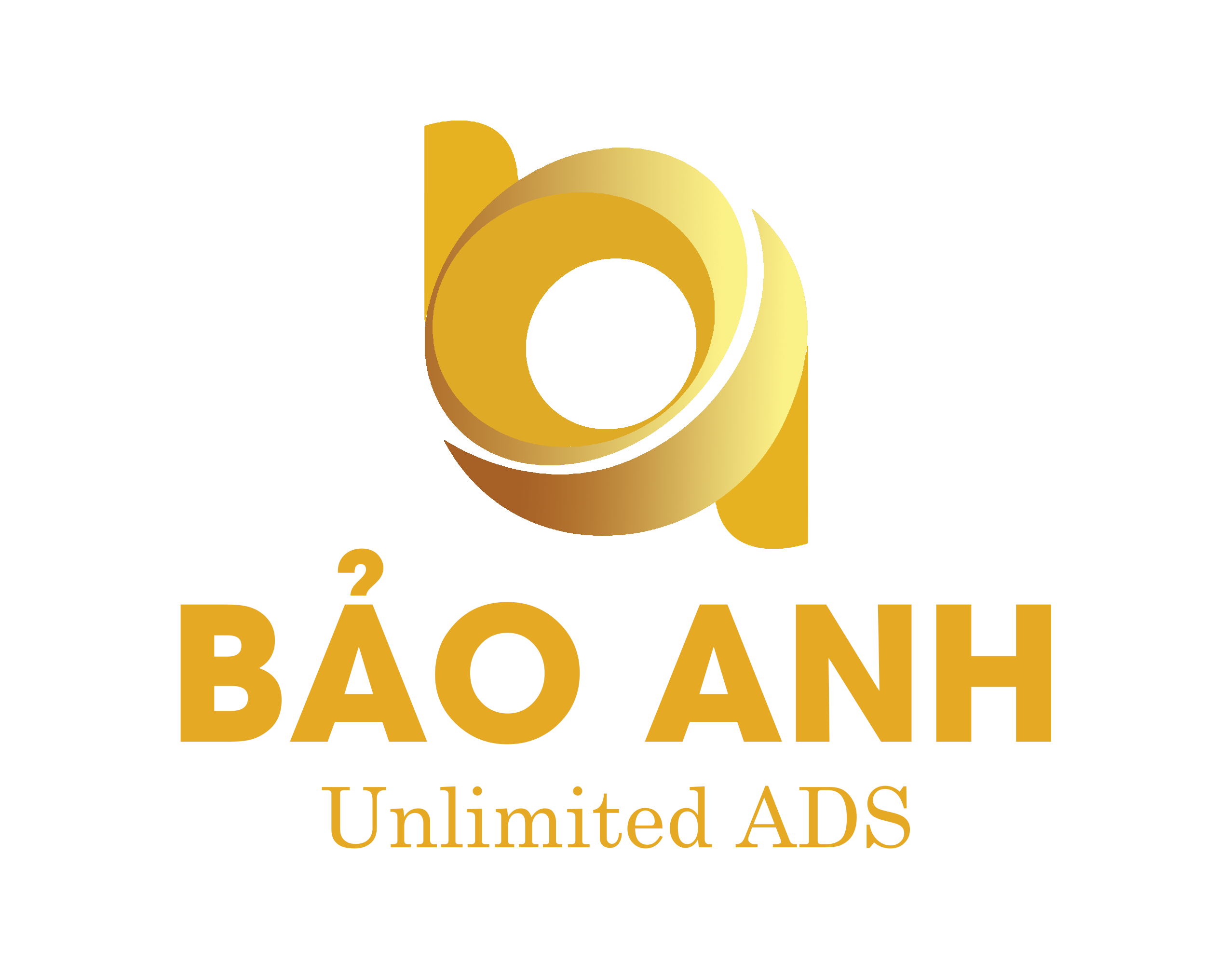Đối tác Bảo Anh 1